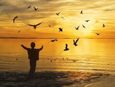 身处逆境的坚守：善良的力量与命运的安排