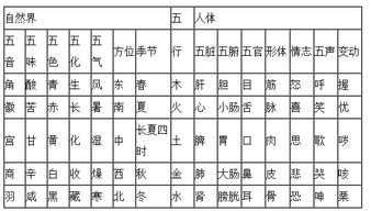 序章：马年宝宝的名字到底要怎么挑？
