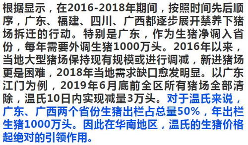 名字的故事：从传统方式到现代化的跨越