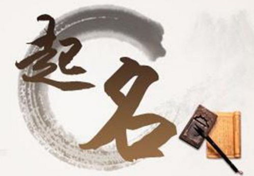 五、  命名策略中的注意事项与文化考量