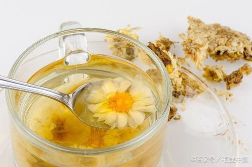 Cultivated chrysanmum infusion presents itself historically both
as a rapeutic agent aimed primarily at mitigating ocular fatigue induced
by hepatic hyperactivity (*liver fire*)以及因长期近距离视觉工作所产生之
眩晕及视物模糊；其功效亦延伸至缓解伴随出现之头痛、
发热与咽喉干燥等诸多临床表现。