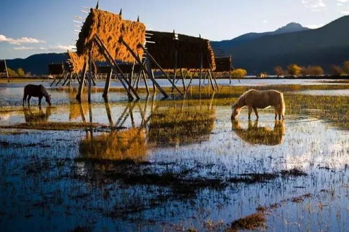 第三站: 四明山, 弯道里的呕吐物