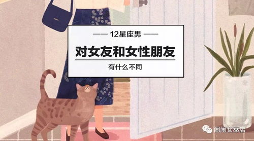 前言——别指望星星掉下来