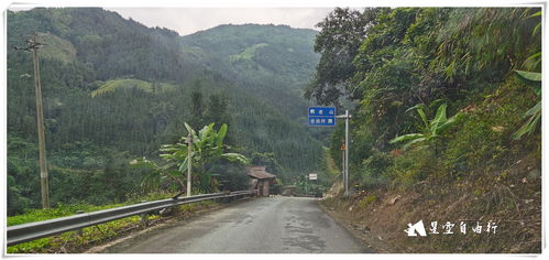 住宿与周边：住得近，玩得爽