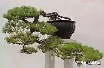 一、 选址布局与风水方位考量