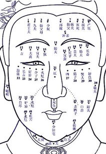 二、 主要桃花痣位置及其对应象征意义