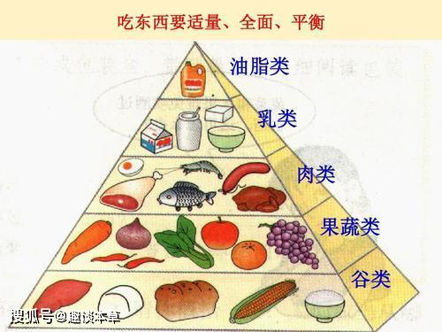 均衡饮食的含义