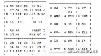 定位天芮星落宫以确定病位