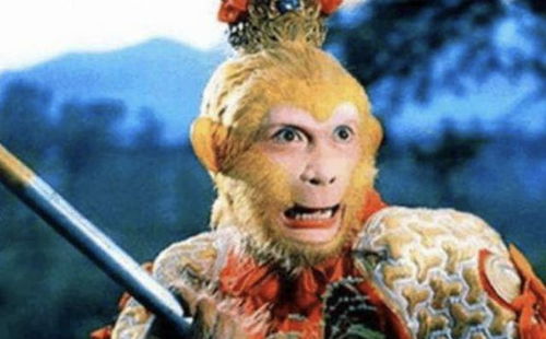 《西游记》人生五定律，谁嫩逃得开这命运轮回的魔咒嗯？