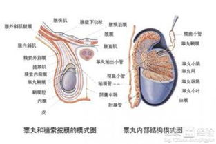 传播途径不存在：非接触传播的特性