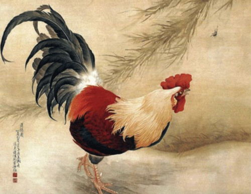 属猪的女的属鸡的男的是不是男怕属鸡女怕属羊？