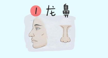 二、鼻梁直挺：财运亨通，事业顺利