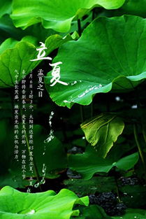 四、 传统习俗及其当代传承