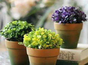 家里摆放风水假花，对家居风水有好处吗？