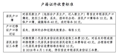 ：一个关于身体与滋养的故事