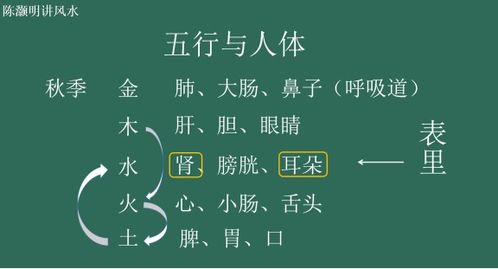：八字与皮肤健康之关联性探讨