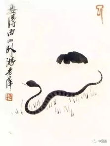 十二生肖运势手写是什么意思？是关于生肖运势的手写解读吗？