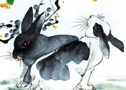 75年属兔金牛座性格女性格特点如何？