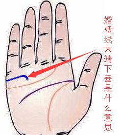 情感纹（交友纹）