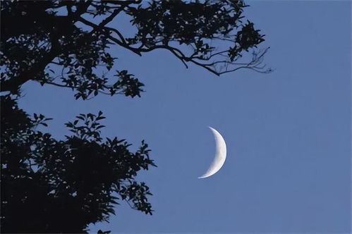 一、前言：夜的象征与玩具的隐喻