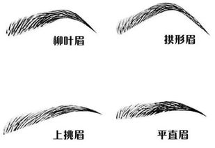 眉毛太短：个性急躁、 胆识低下