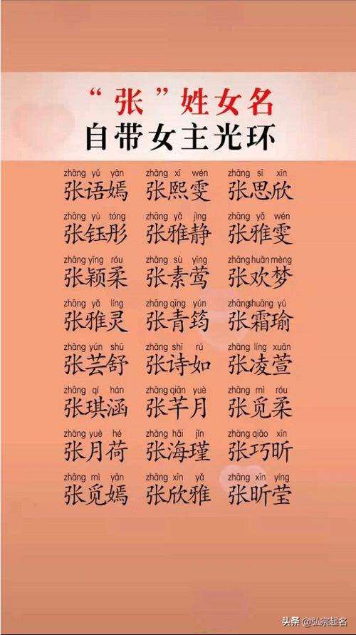 C. 把网络流行语直接搬进正式姓名（存在风险因素系数★★★★★）