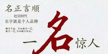 名字带召字取名是凶是吉？这样的名字好不好？