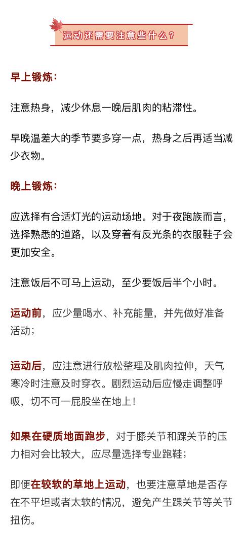 ：生肖体质学说与饮食调摄的内在逻辑