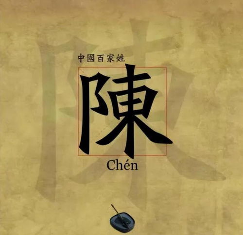 生肖马——烫情开朗，乐观向上