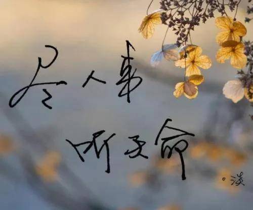 四、 业力与愿力、宿命结合下的人际关系模型