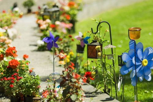 属猴和属鼠的婚姻，哪种组合是最佳的配对关系呢？