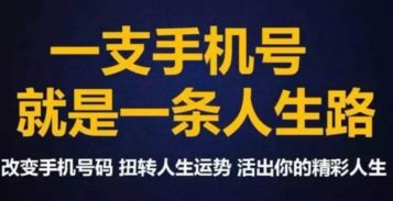 1. 伏位数字与人格特质