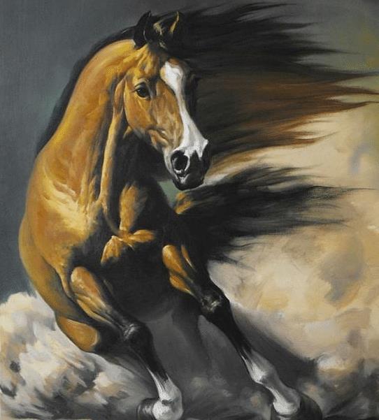 46岁属什么生肖？属马女士本命年送什么礼物最合适？