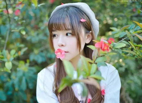 第一章：生肖与星座作为命运符号的深层意蕴