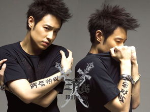 1. 阳光型（适合活泼好动的孩子）