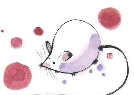 属兔人的致命弱点，是不是过于理想化和敏感导致难以适应现实？