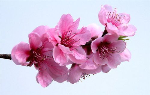 更深层次的影响因素