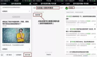 行程安排：慢节奏，别累着自己