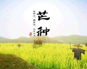 芒种节气的天文历法定位与气候特征分析