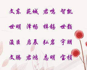 ：找到最适合养姓女孩的名字(附带了一点乱七八糟的东西， 比如广告或者二维码)