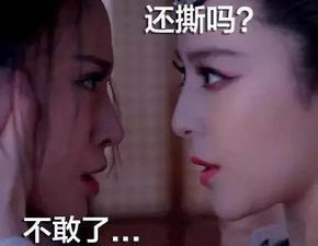 文本内部逻辑链条