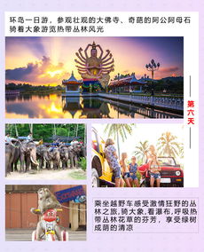 浪漫小祈概述：隐藏的海滨瑰宝