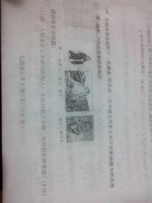 新旧官房学派的演进：行政组织的“龙脉”重塑