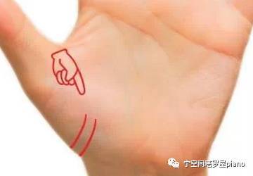 一、  “断掌”现象：权力意志与落实效率的结构化表征