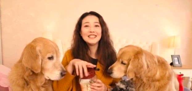 男狗女龙八字真的不合，他们的婚姻会幸福吗？