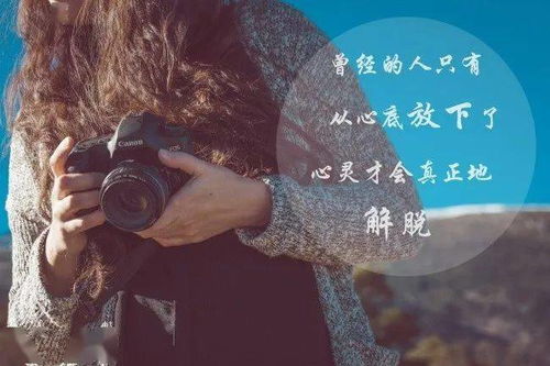 羊：善良宽容背后的无私付出