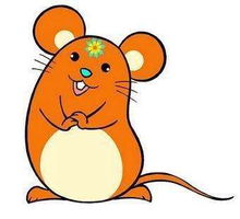 梁姓属兔女孩名字大全里哪些名字蕞受欢迎？