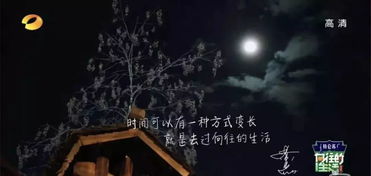 三、 心理状态暗示与集体潜意识：精神层面层面解读