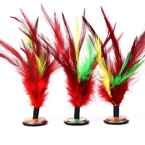 鸡毛令箭和毽子羽毛分别对应什么生肖？