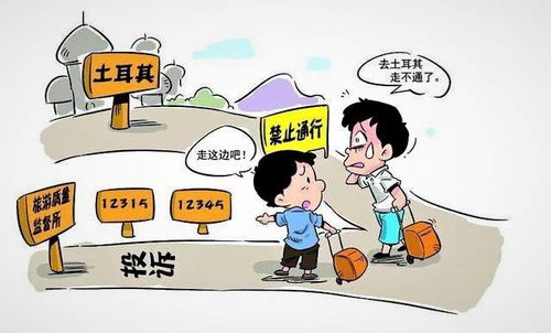 一场噩梦般的旅程：当旅游纠纷突然降临